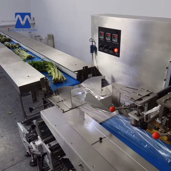 Macchina tradizionale cinese per bollire e confezionare erbe per l'ospedale